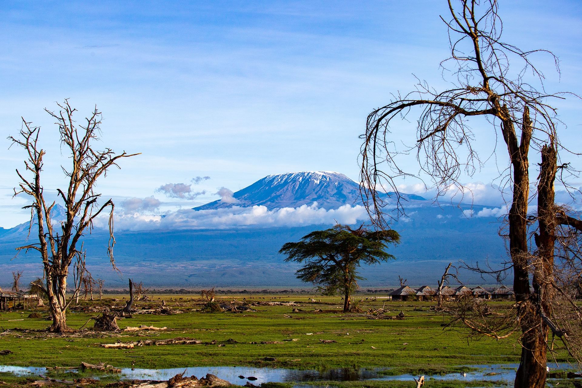 Amboseli Serena Safari Lodge