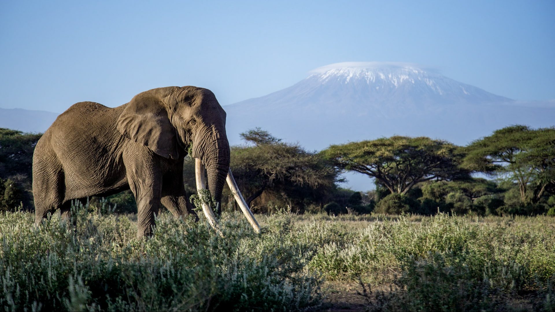 Angama Amboseli