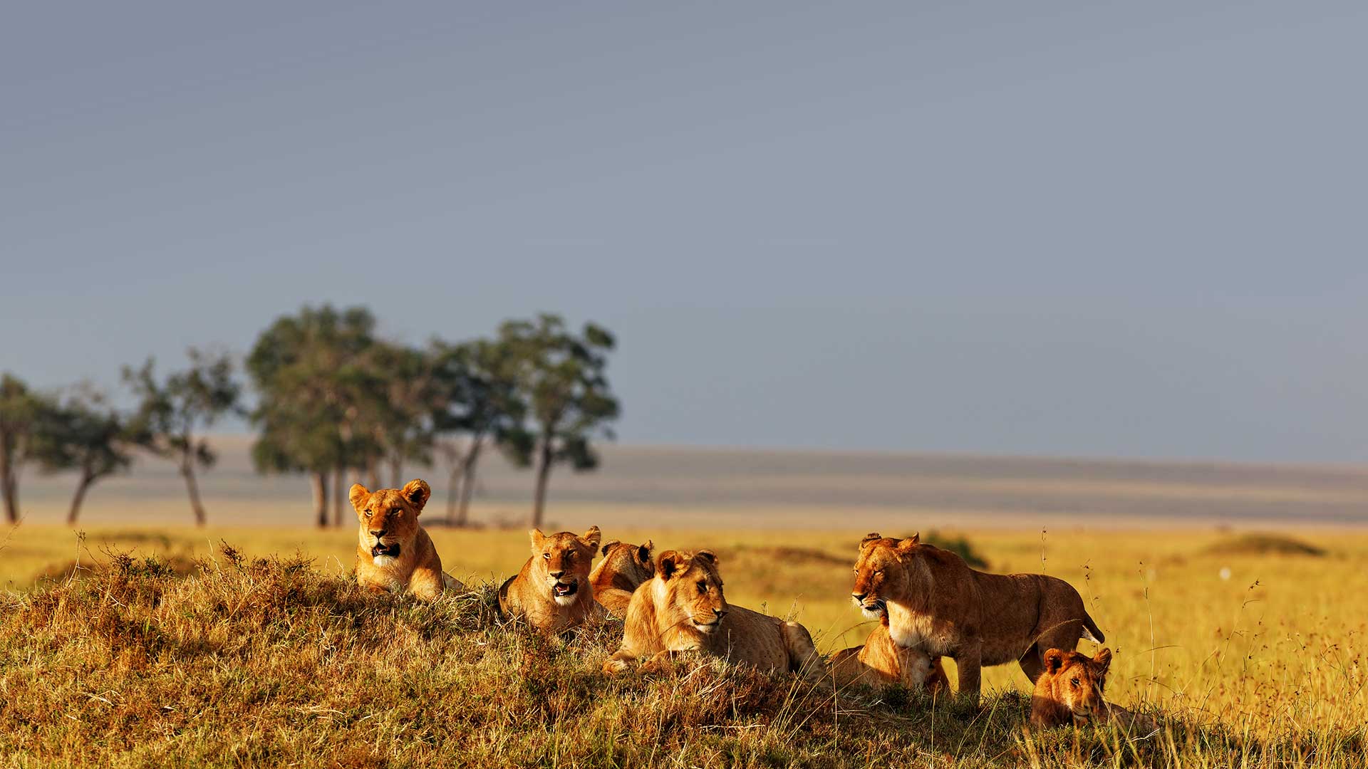 Mara Sopa Lodge - Photo 2