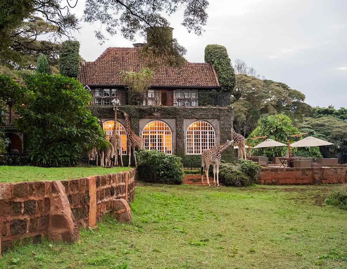 Giraffe Manor - Photo 2