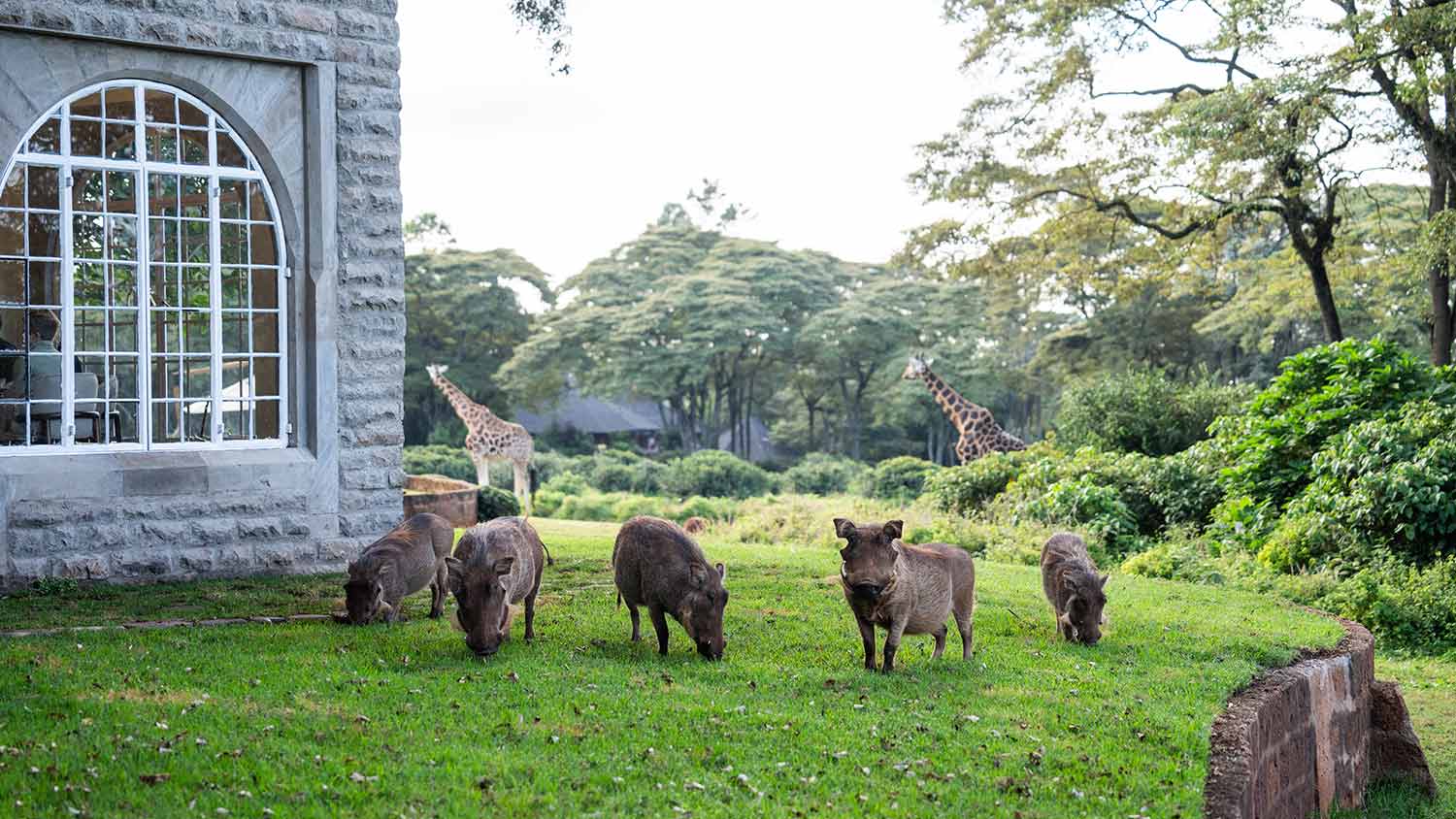 Giraffe Manor - Photo 3