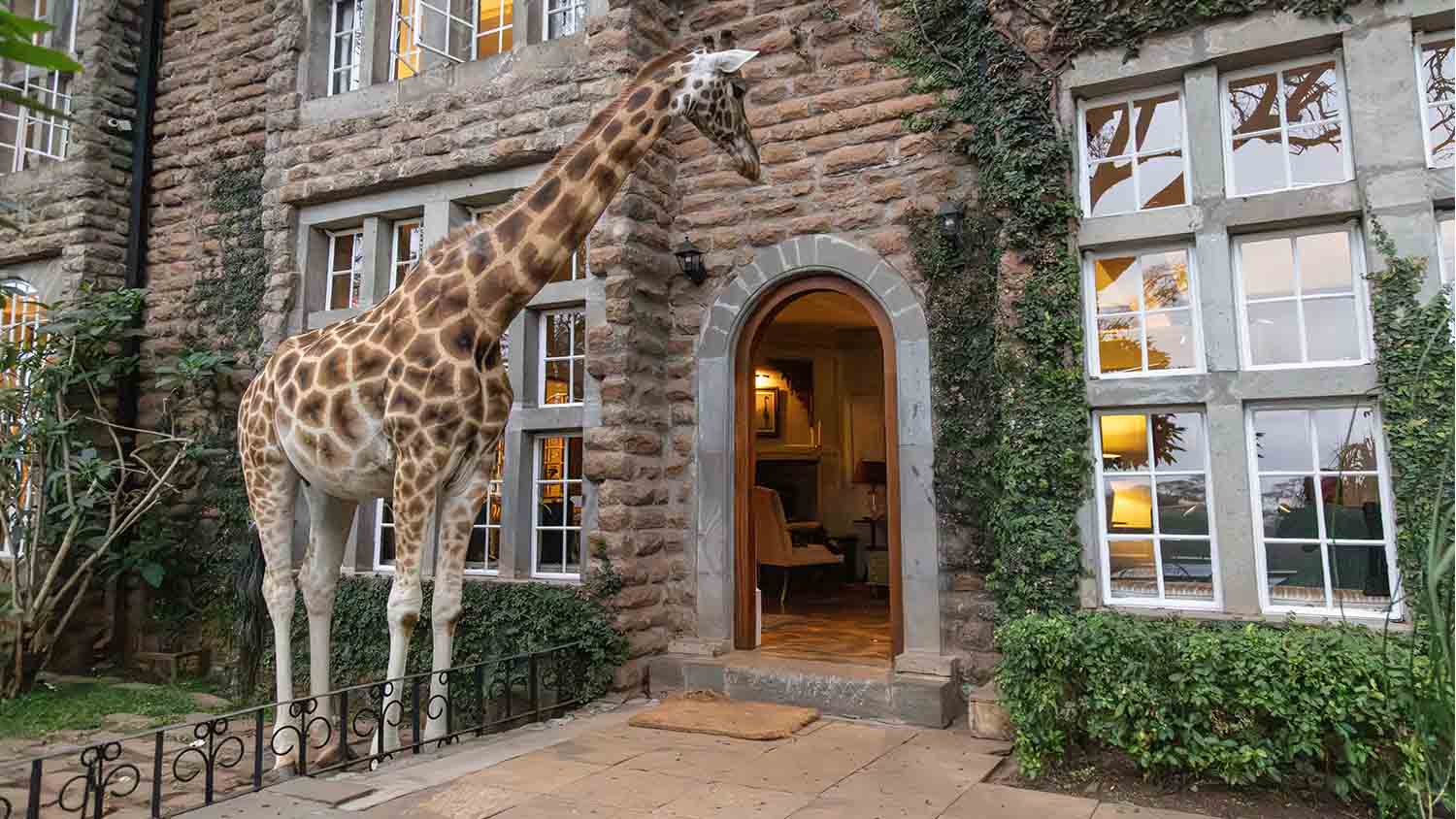 Giraffe Manor - Photo 6