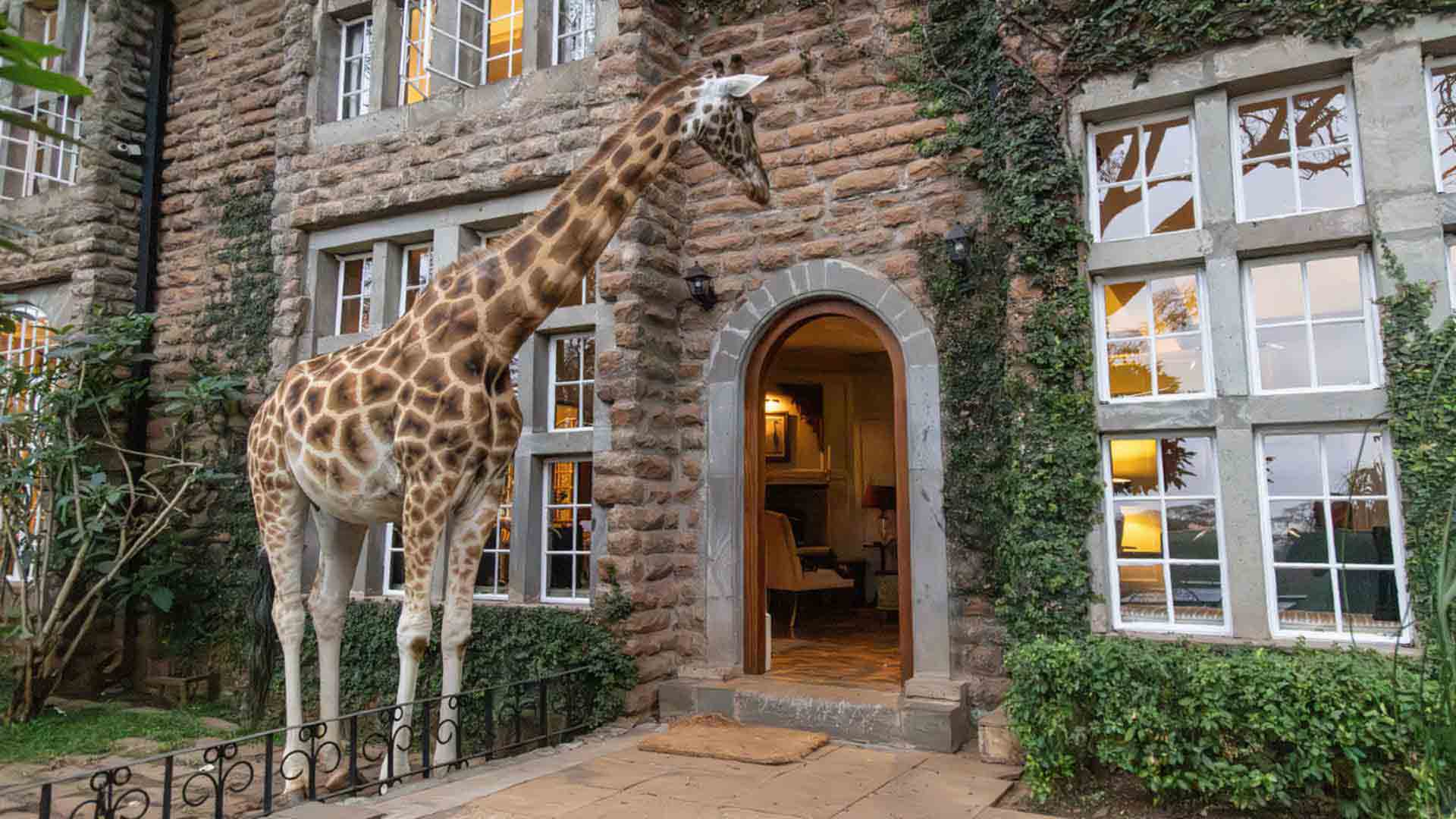 Giraffe Manor - Photo 7