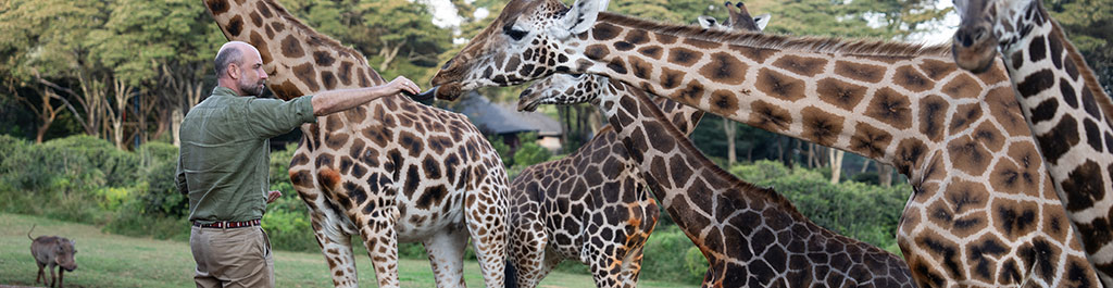 Giraffe Manor - Photo 11