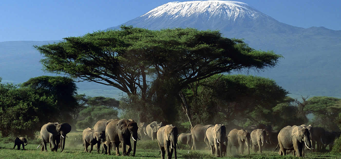 Angata Ndutu Migration Camp