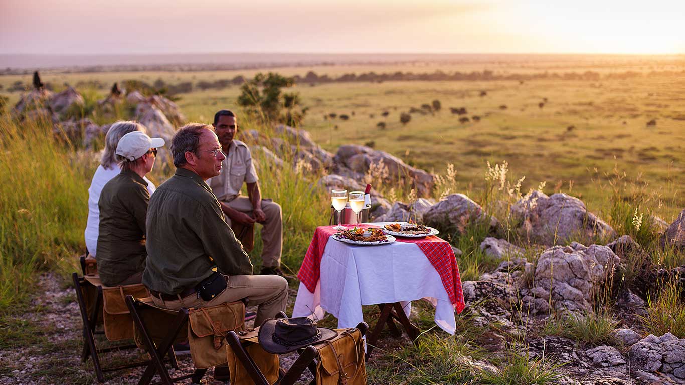 Elewana Tarangire Treetops - Photo 2