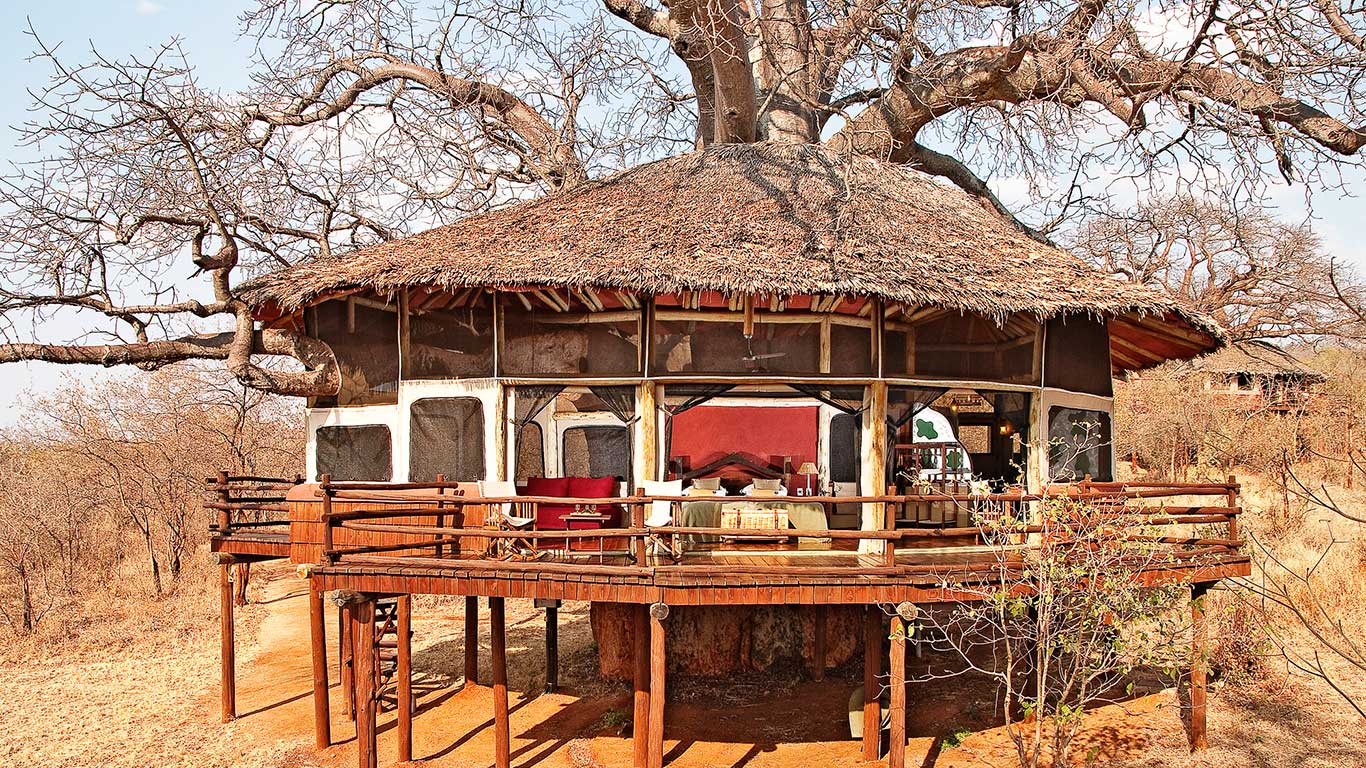 Elewana Tarangire Treetops - Photo 4