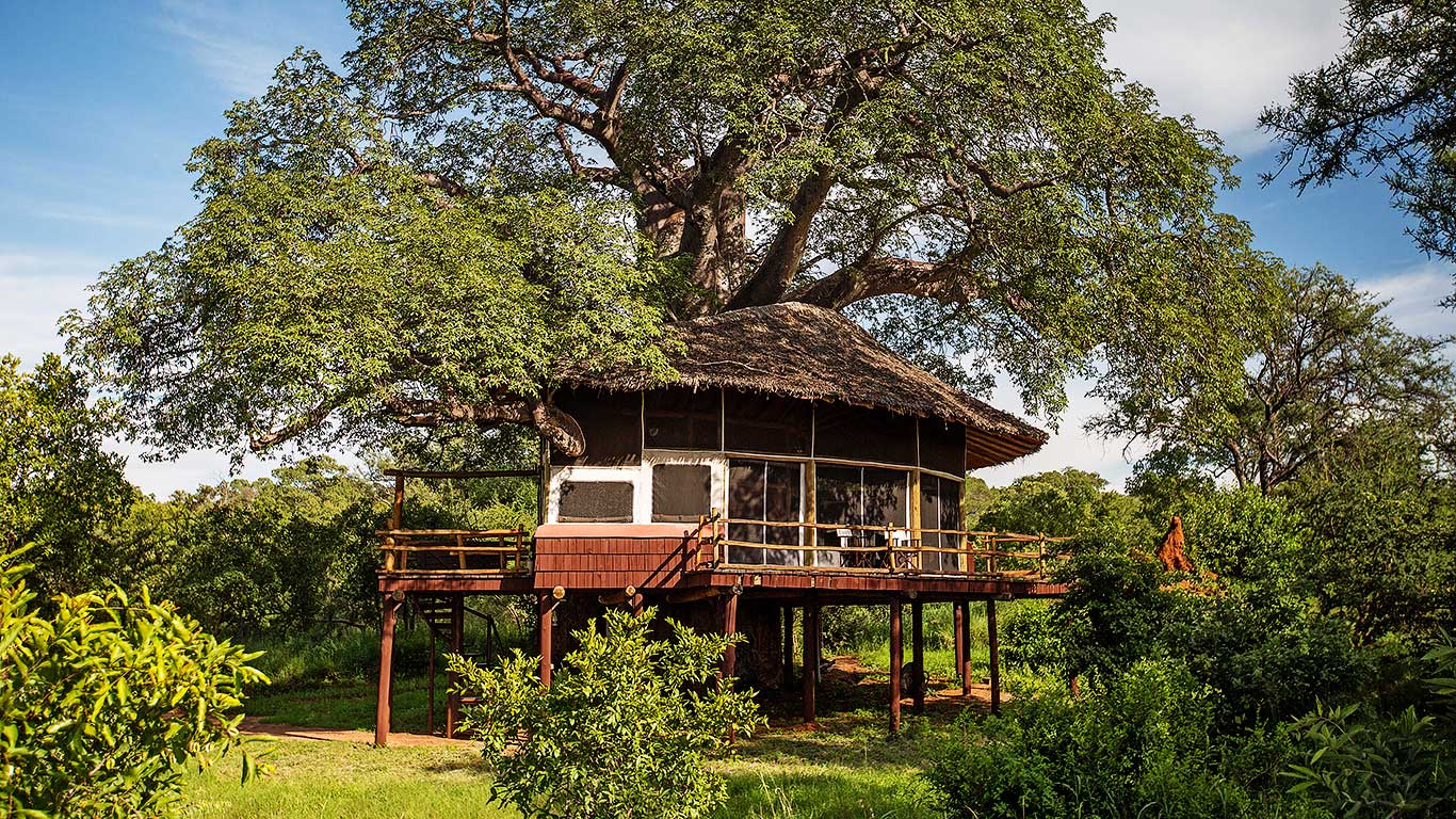 Elewana Tarangire Treetops - Photo 9