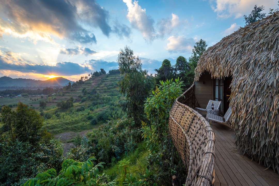 Bisate Lodge