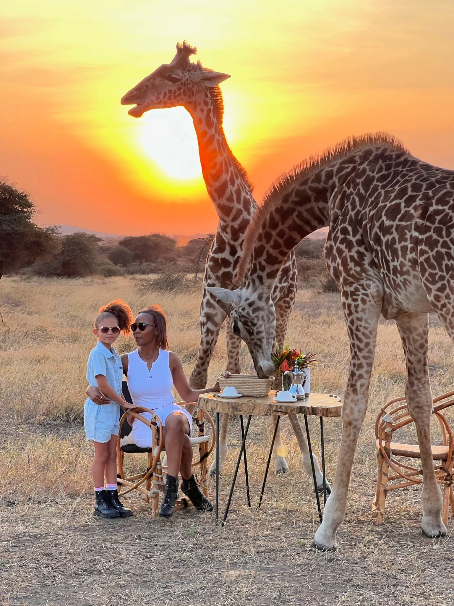 Serval Wildlife Lodge